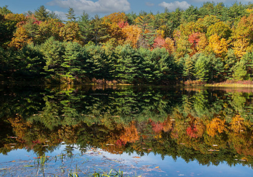 The Tranquil World of Wellness Centers in Hampden County, Massachusetts